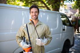 Best Termite Inspection and Treatment  in Pleasantville, NY